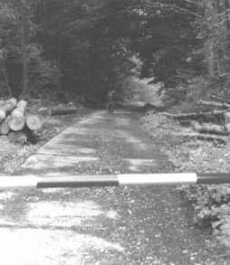 Heute noch bestehende Werksstraße an der Ruine der Verwaltung